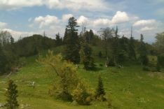 Oberhalb des Urwalds Perucica/Bosnien Oberhalb des Urwalds Perucica/Bosnien