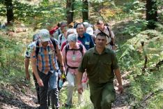 Wanderung Sumadia (Waldland) Wanderung Sumadia (Waldland)
